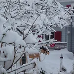 Kunterbunt